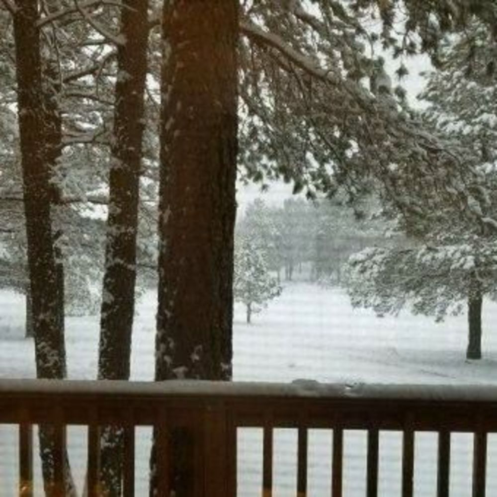 Meet your Posher, Elayne